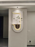 玄关挂画正对入户门装饰画绿植水培立体砂岩壁画LED灯光餐厅挂画A 奶白咖啡色 底板尺寸40-70 手工砂岩+水培玻璃瓶+仿真绿植 不加灯款 实拍图