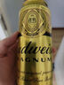 百威黑金啤酒500ml*12听整箱装烈性拉格焦香醇厚  实拍图