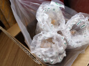 慧员（hopeone）平口脆筒48支箱装蛋卷华夫甜筒雪糕脆皮筒热奶宝蛋糕装饰夏季冷饮 实拍图