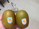 佳沛（zespri）新西兰  阳光金奇异果巨大果22粒原箱 单果重约144-175g 猕猴桃 实拍图