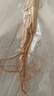仟农仟滋人参整枝/1支长白山干参东北特产生晒白参煲汤泡酒 实拍图