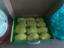 佳沛（zespri）新西兰 阳光金奇异果12粒礼盒特大果单果约122-146g 猕猴桃 水果 实拍图