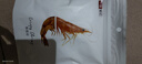 一袋惦记脆脆虾椒盐味30g烤虾干即食虾干虾肉零食非油炸 实拍图