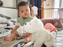 babycare电动毛绒小狗配饰玩偶节日送礼-西高地+橙色活力套装 实拍图