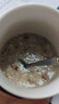 魏尔夫红豆薏米茯苓燕麦片低糖即食麦片五谷杂粮早餐冲饮减代餐月旨2斤 实拍图