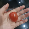 新鲜采摘圣女果樱桃小番茄蔬菜 带箱250g 实拍图