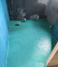 Davco德高K11净彩柔性防水涂料浆料厨房卫生间阳台室内 地面柔韧型18KG 实拍图