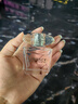范思哲（VERSACE）晶钻女士淡香水30ml 花果香调 女生生日礼物自营 实拍图