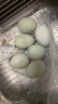 皮蛋松花蛋无铅工艺古法腌制鸭蛋佐餐伴侣 6枚（单枚50g以上） 实拍图