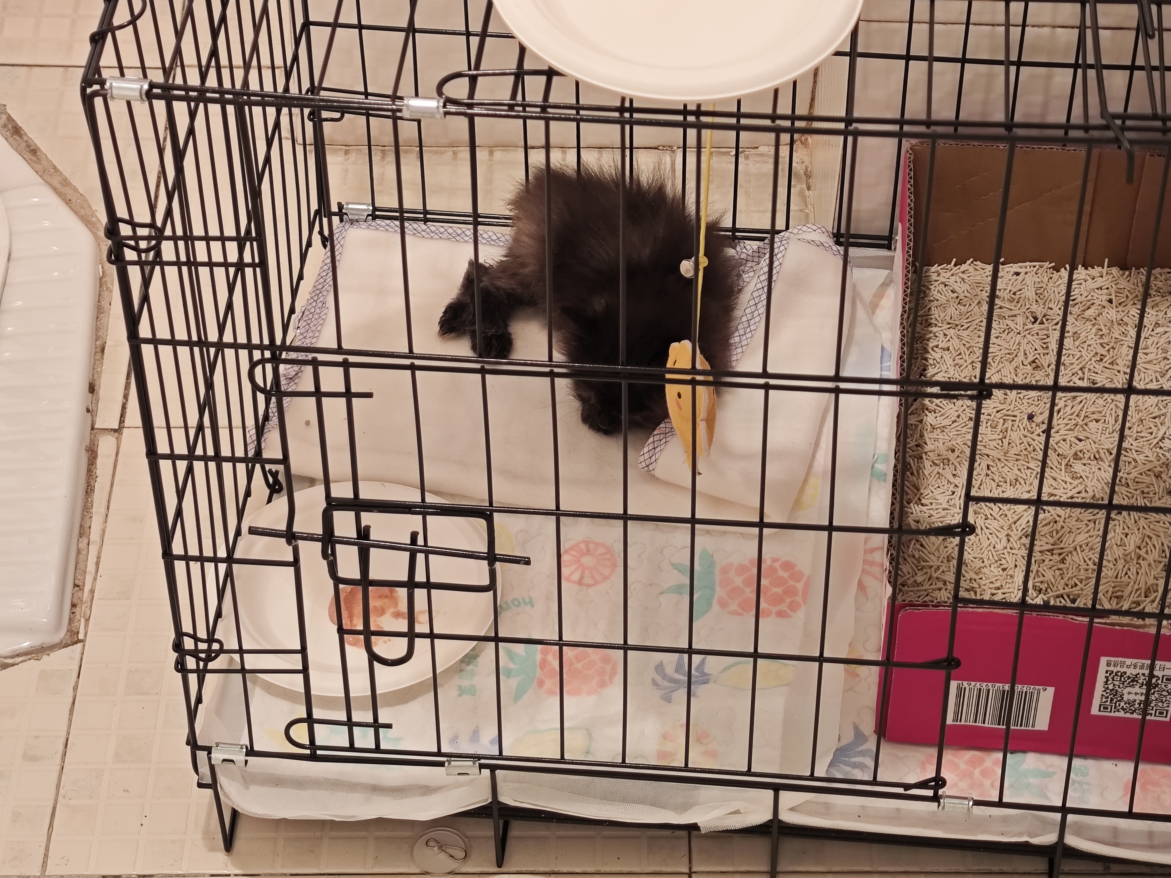 憨憨宠 猫笼 折叠猫笼子带厕所猫别墅幼猫成猫猫舍猫窝双层猫咪笼子 黑色600双层 实拍图