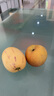 陇原红 民勤沙漠人参果大果 甘肃人生果长果黄肉孕妇宝宝水果 新鲜水果 3斤精选中果 实拍图
