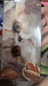 完美日记探险家12色眼影盘09猫咪14g大地色粉质细腻生日礼物送女友 实拍图