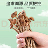 富昌 茶树菇250g 福建特产 茶树蘑菇 煲汤炒菜火锅食材 实拍图
