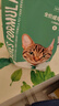 凯锐思天然猫粮成猫粮鱼肉蓝猫全价猫粮 【肠胃健康】 鱼肉味-4斤 实拍图