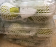 京鲜生 阿根廷帕克梨啤梨4粒装 单果200g起 新鲜水果 源头直发包邮 实拍图