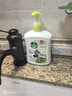 滴露（Dettol）洗手液抑菌滋润茉莉绿茶500g 儿童洗手液消毒 滋润护手米奇米妮版 实拍图