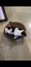 pidan猫抓板 直角款 瓦楞纸猫窝耐磨猫玩具 实拍图