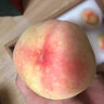 哆莫香无锡水蜜桃特产当季新鲜白凤水蜜桃多汁毛桃整箱水果礼盒中秋送礼 精选优果 10枚【礼盒装】 实拍图