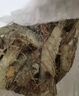 鲜京采 原装进口厄瓜多尔白虾 净重3.3斤 大号30-40规格 50-66只/盒 实拍图