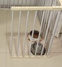 LEGENDSANDY蓝氏狗粮金毛泰迪全犬种成犬幼犬通用冻干三文鱼蛋黄味5kg10斤 实拍图