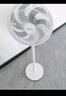 美的（Midea） 电风扇 家用风扇7叶落地扇立式轻音节能大风量电扇台扇迷你扇台立两用转页扇 【店长推荐丨7叶劲风 百万单品】 SAF30AC 家用落地扇 实拍图