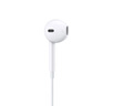 Apple/苹果 采用 (USB-C)的EarPods耳机 有线耳机 苹果耳机 适用iPhone/iPad//Mac 苹果手机 实拍图