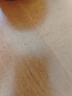 漫德莱水管软管浇花浇菜自来水管防冻透明蛇皮管家用塑料PVC水管6分60米 实拍图