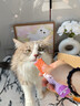 HELLOJOY猫条猫咪零食混合成幼猫湿粮主食补水发腮营养增肥批发15克*300支 实拍图