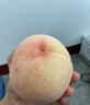 无锡白凤水蜜桃 新鲜孕妇当季水果软毛桃子礼盒 8颗礼盒装（6-8两） 香甜大果 实拍图