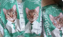 凯锐思天然猫粮成猫粮鱼肉蓝猫全价猫粮 【增肥发腮】 牛肉味-12斤 实拍图