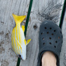crocs卡骆驰贝雅洞洞鞋沙滩鞋|10126 黑色-001 37/38(230mm)  实拍图