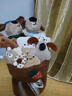 爱夕卡通玩偶花束女生日礼物女士永生花伴手礼送女友闺蜜儿童老婆 实拍图