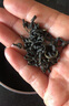 乐品乐茶高山绿茶黄山云雾特级2025新茶茶叶明前浓香型春茶散装自己喝500g 实拍图