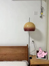 鸿登中古风落日蘑菇灯客厅落地灯沙发旁边卧室床头灯包豪斯复古氛围感 台灯沙镍+茶色灯罩 实拍图