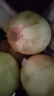 新鲜黄洋葱黄金水果洋葱即食蔬菜调料烧烤食材 新鲜黄洋葱 5斤 含箱 实拍图