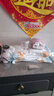 洁丽雅（Grace） 旅行一次性床单被套罩枕套加厚套装酒店床上用品双人款四件套 实拍图