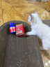USPET英国乳钙片宠物钙猫咪狗狗关节幼老年怀孕产后犬猫促进发育宝骨骼 实拍图