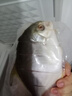 环球水产 拉花二去金鲳鱼520g/2条装 去鳃去内脏 鱼类生鲜 烧烤食材 海鲜 实拍图