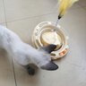 HELLOJOY猫玩具猫咪自嗨解闷神器转盘逗猫棒猫猫冻干漏食球小猫用品不倒翁 实拍图