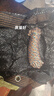遮阳网加厚加密防晒网遮阴网太阳隔热黑网植物户外遮光庶阳摭阳网 14针高抗紫外线 99%遮阳率 【抗老化】3X6米【送拉绳】 实拍图