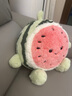 熊猫熊毛绒玩具西瓜水果玩偶跑跑西瓜公仔抱枕布娃娃生日礼物送男女生 实拍图