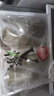 五芳斋 速冻蜜枣粽 100g*5只 嘉兴粽子甜粽端午粽子早餐食品 实拍图