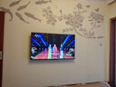 松下（Panasonic）LX600 55英寸 丽可彩4K AI智能语音 悬浮全面屏MEMC HDR10 开机无广告电视 TH-55LX600C 实拍图