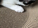 疯狂的主人猫抓板窝碗形大号猫抓盆不掉屑猫窝宠物猫玩具瓦楞纸猫爪板 实拍图