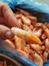 美加佳熟冻北极甜虾腹籽净重3斤 90/120规格  海鲜水产 熟冻甜虾 实拍图