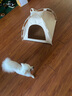 HELLOJOY猫窝四季通用帐篷式宠物狗屋猫咪猫床房子狗狗窝 折叠杆帐篷XL 实拍图