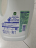 滴露（Dettol）衣物除菌液 松木3L 内衣服儿童杀菌除螨 衣服消毒液 实拍图