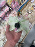 施华蔻（Schwarzkopf）怡然植物染发霜3.0/9羊绒脂深棕 黑茶色染发剂植物染发膏男女盖白 实拍图
