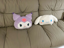名创优品（MINISO）三丽鸥弹力超柔升级版小恶魔库洛米大耳狗抱枕公仔送女朋友生日礼 大耳狗系列-抱枕 实拍图