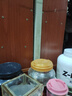 伊利新货纯牛奶250ml*24盒/16盒无菌砖全脂牛奶营养早餐新老包装随机 【5月31日】纯牛奶250ml*24盒 实拍图